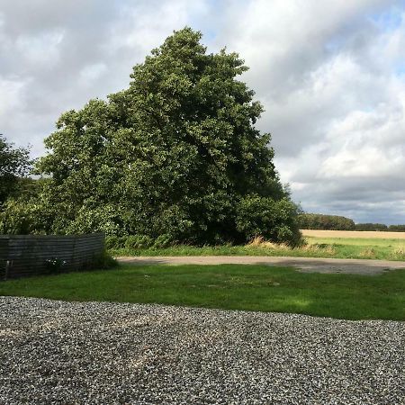 Ellekaer-Gard Hotel Dronninglund Bagian luar foto